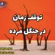 توقف زمان در جنگل مرده